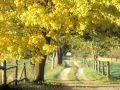 John Barry - My life - Love Theme