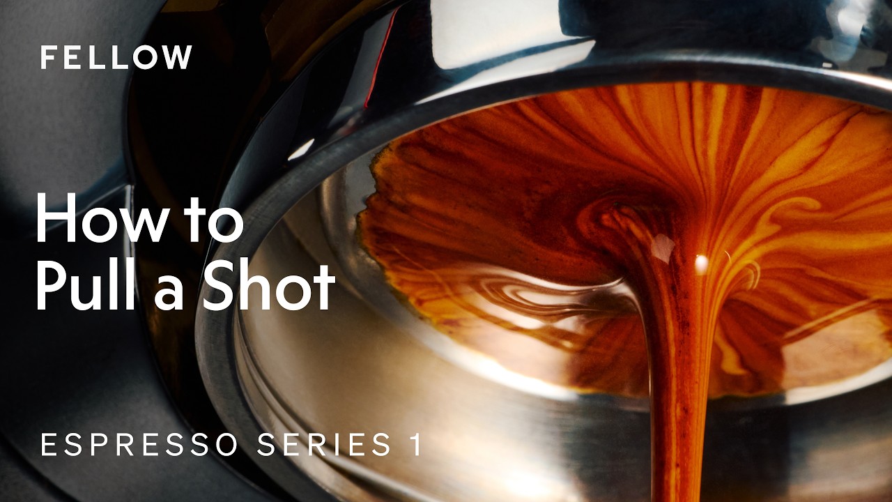 Espresso Series 1 | How to Pull A Shot