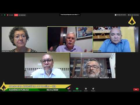 Audiência Pública Remota - CEB - 05/11/2020