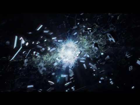 Stingray Branding LLC video.