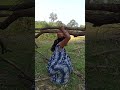 Sabitri Hembram Vlogs Hard Work Love Please Subscribe Youtube Short Video