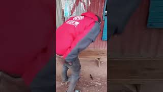 Download lagu Karibu roho initokee 😂 mp3 Download lagu Karibu roho initokee 😂 mp3