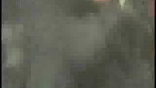 [霹靂] 有多少角色是現出真身後就完全衰敗破格的?