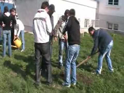 Green Week - GSAV Sendriceni parteneriat cu SAM I. Pillat Dorohoi