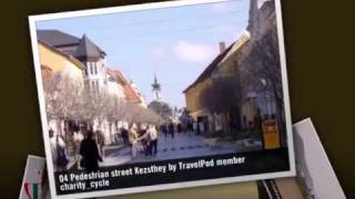 preview picture of video 'Lake Balaton Charity_cycle's photos around Balatonamali, Hungary (janos halapy cherry tree)'