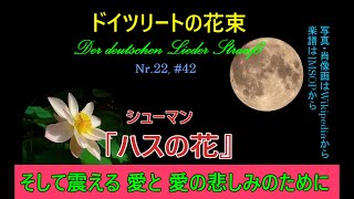 Download lagu 22, ハイネ「ハスの花」(シューマン)#42(250701) mp3 Download lagu 22, ハイネ「ハスの花」(シューマン)#42(250701) mp3