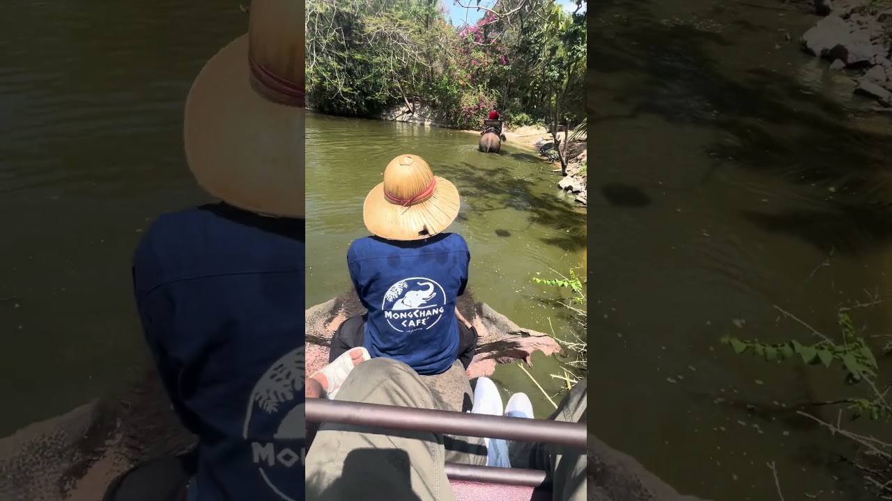 YouTube Short thumbnail