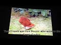 HensonWins Everything Great About Fraggle Rock You Can T Do That Without A Hat