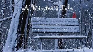 Justin Hayward   A winter&#39;s tale