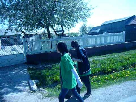 Actiune ecologizare I