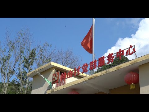 Foreign envoys make ciba in Shenshan Village, Jiangxi Province