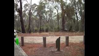 Stupid running . . .