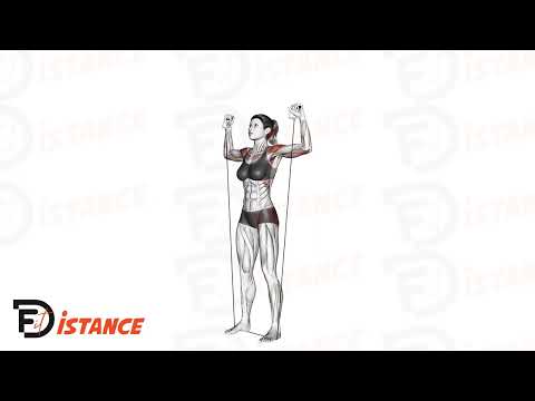 Développé militaire à l'élastique - Exercice Développé militaire à l'élastique en vidéo Développé militaire à l'élastique - Exercice Développé militaire à l'élastique en vidéo