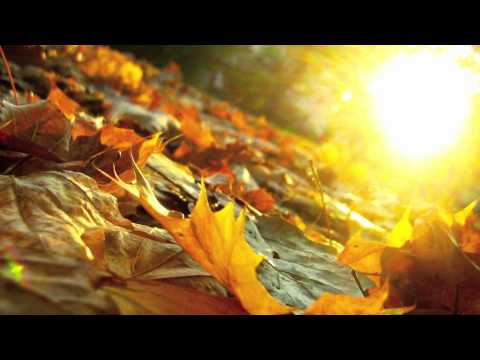 Chris Reece & Dinka - Autumn Leaves (Original Mix) HQ
