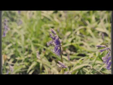 OLVR.S - Almost Home [Official Music Video]