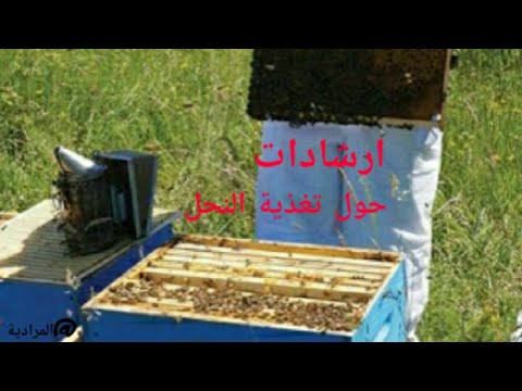 , title : 'متى نتوقف عن تغذية النحل؟ولماذا؟↩إرشادات هامة'