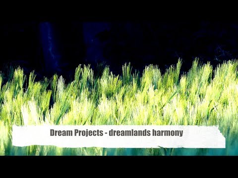 Dream Project (For Found Future Mix) - dreamlands harmony from The Forest Chill Lounge (Full HD)