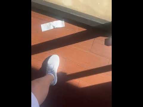 Pizza Patron reviews: They have lot fun in the restaurant | PissedConsumer.com