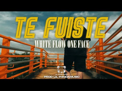 WHITE FLOW and Lil P4nda Music