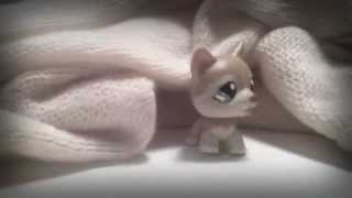 Littlest Pet Shop; Music Video. Letting Go By: Maribelle Anes