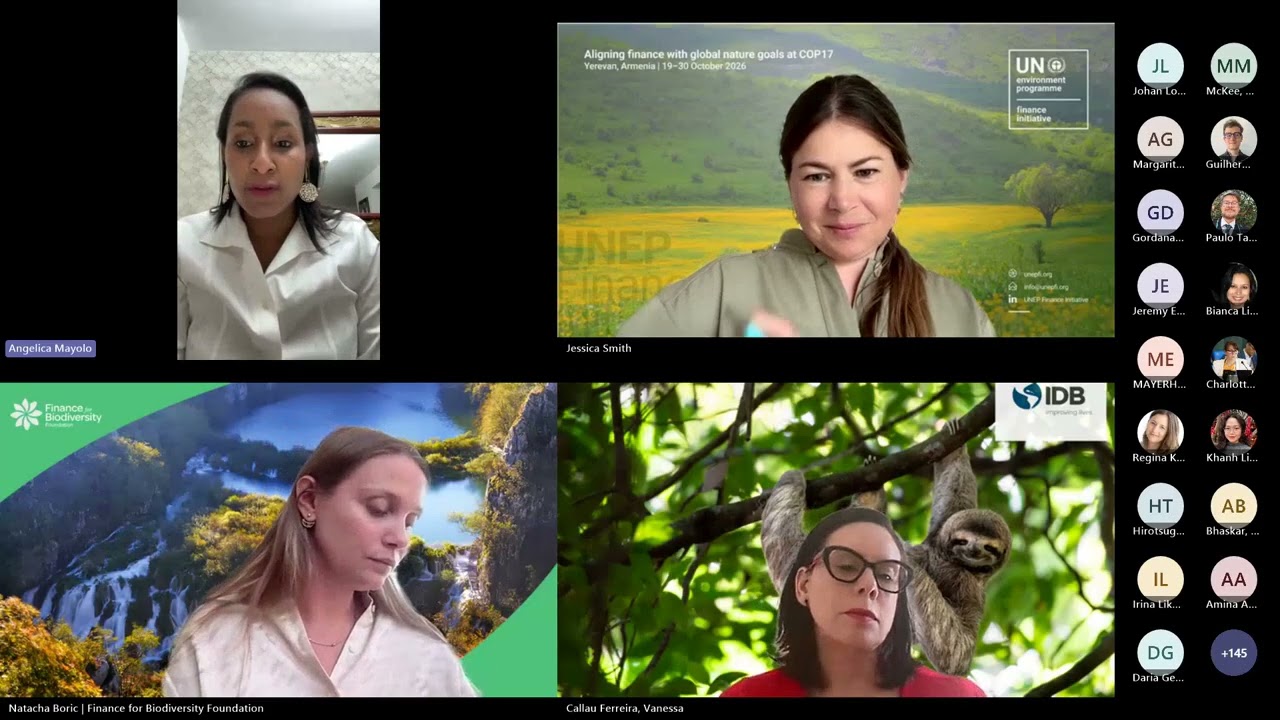 From Cali to Yerevan: mobilizing nature finance for a biodiversity-positive future