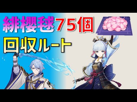 クレマチスを適切に世話する方法2023