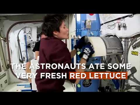 This Day In Space — August 10