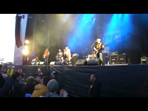 Kassierer - Wölfis kleiner Hodensack