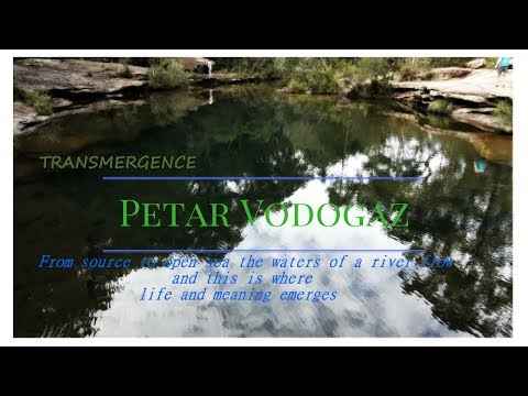 Are Humans inherently a Violent Species?