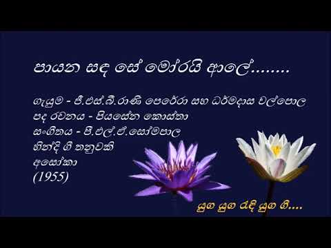 payana sanda se morayi aale dhiwa re dhewelee