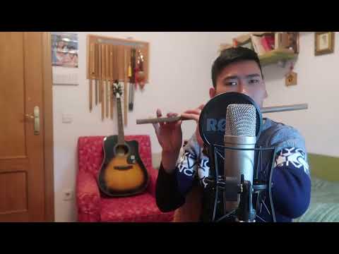 Luis Fonsi & Demi Lovato Échame La Culpa- Tocar la Flauta Vietnam( Bamboo Flute)