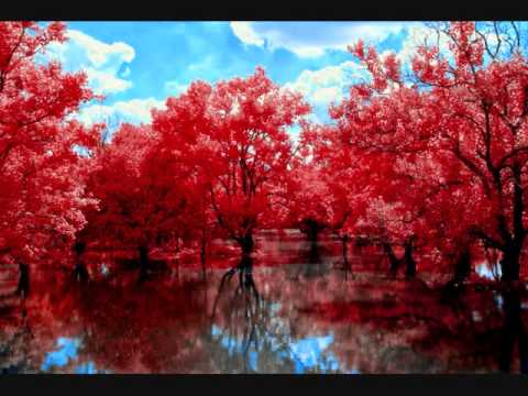 D:FOLT Feat. Marcie - Red Forest (Vocalcloud9's Original Edit)
