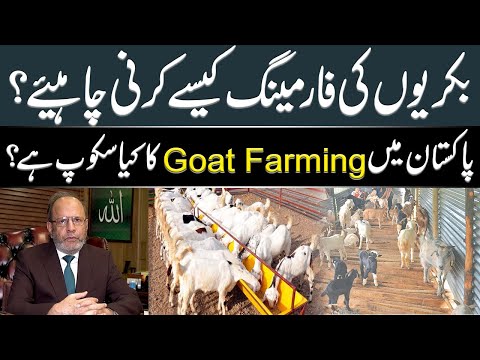 , title : 'Business and Feasibility of Goat Farming in Pakistan | Dr Muhammad Arshad Official'