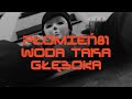 Płomień 81 feat Louis Villain Woda