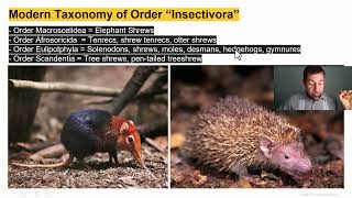Lecture 2.3_Phylogenetic Classification of Living Mammals