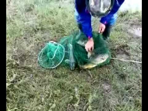 Balta Deagu-Arges captura crap !