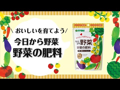 トマトを強化するにはどうすればよいですか？天然肥料であるイラクサ肥料の恩恵をお楽しみください。  庭園