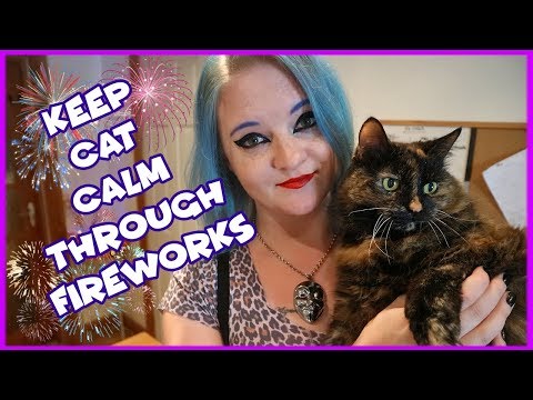 How To Help Your Cat During Fireworks! 5 Tips on How To Keep Your Cat Calm This Bonfire Night!