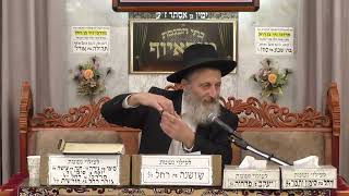 הרב אברהם מוסלי | פרשת תולדות | בית הכנסת מוסאיוף (בית הכנסת מוסאיוף) - התמונה מוצגת ישירות מתוך אתר האינטרנט יוטיוב. זכויות היוצרים בתמונה שייכות ליוצרה. קישור קרדיט למקור התוכן נמצא בתוך דף הסרטון הרב אברהם מוסלי | פרשת תולדות | בית הכנסת מוסאיוף (בית הכנסת מוסאיוף) - התמונה מוצגת ישירות מתוך אתר האינטרנט יוטיוב. זכויות היוצרים בתמונה שייכות ליוצרה. קישור קרדיט למקור התוכן נמצא בתוך דף הסרטון