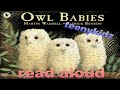 STORY Owl Babies Story READ ALOUD