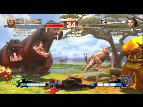 MessiOldSnake (Gouken) VS valdo23 (Rose)