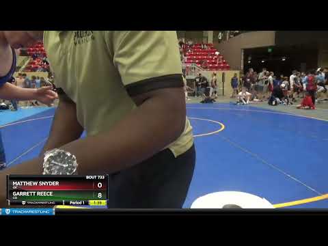 138 Lbs Quarterfinal - Matthew Snyder, OK Vs Garrett Reece, CO 455d