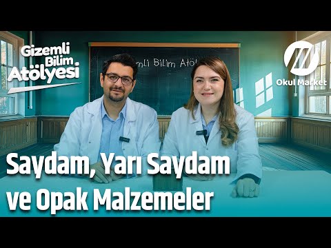 Renkli Dünya