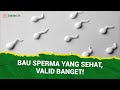 Dokter 24 Bau Sperma Kayak Bau Pandan Atau Pemutih Baju
