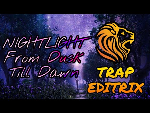 ILLENIUM X ZAYN SIA - Nightlight from Dusk Till Dawn || EDITRIX || Eversaed Mix