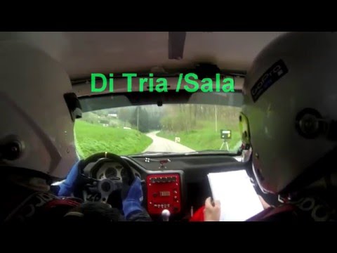 28° Rally del Tartufo 2016 Crash  Di Tria /Sala Peugeot106 A5
