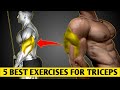 Best Triceps Workout For Mass Strength Build Bigger Arms Fast