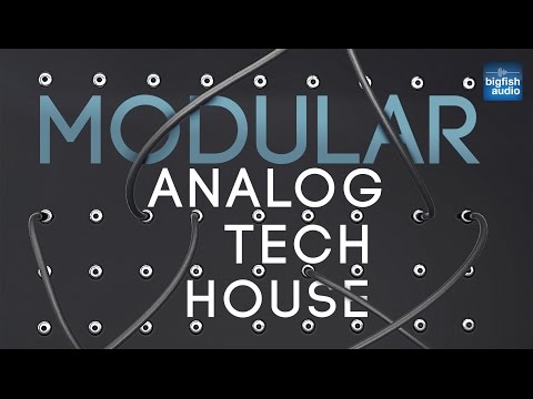 Free Download Modular: Analog Tech House MULTiFORMAT