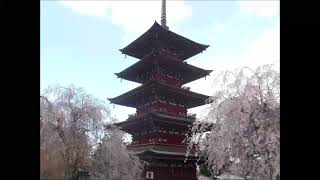 Download lagu メンデルスゾーン：交響曲第2番 讃歌（ブロムシュテット）　Mendelssohn - Symphony No.2 'Lobgesang' mp3