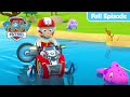 Pups Save A Dolphin Pup MORE PAW Patrol FULL EPISODES Cartoons For Kids